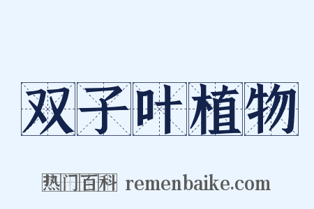 双子叶植物是什么意思的图片
